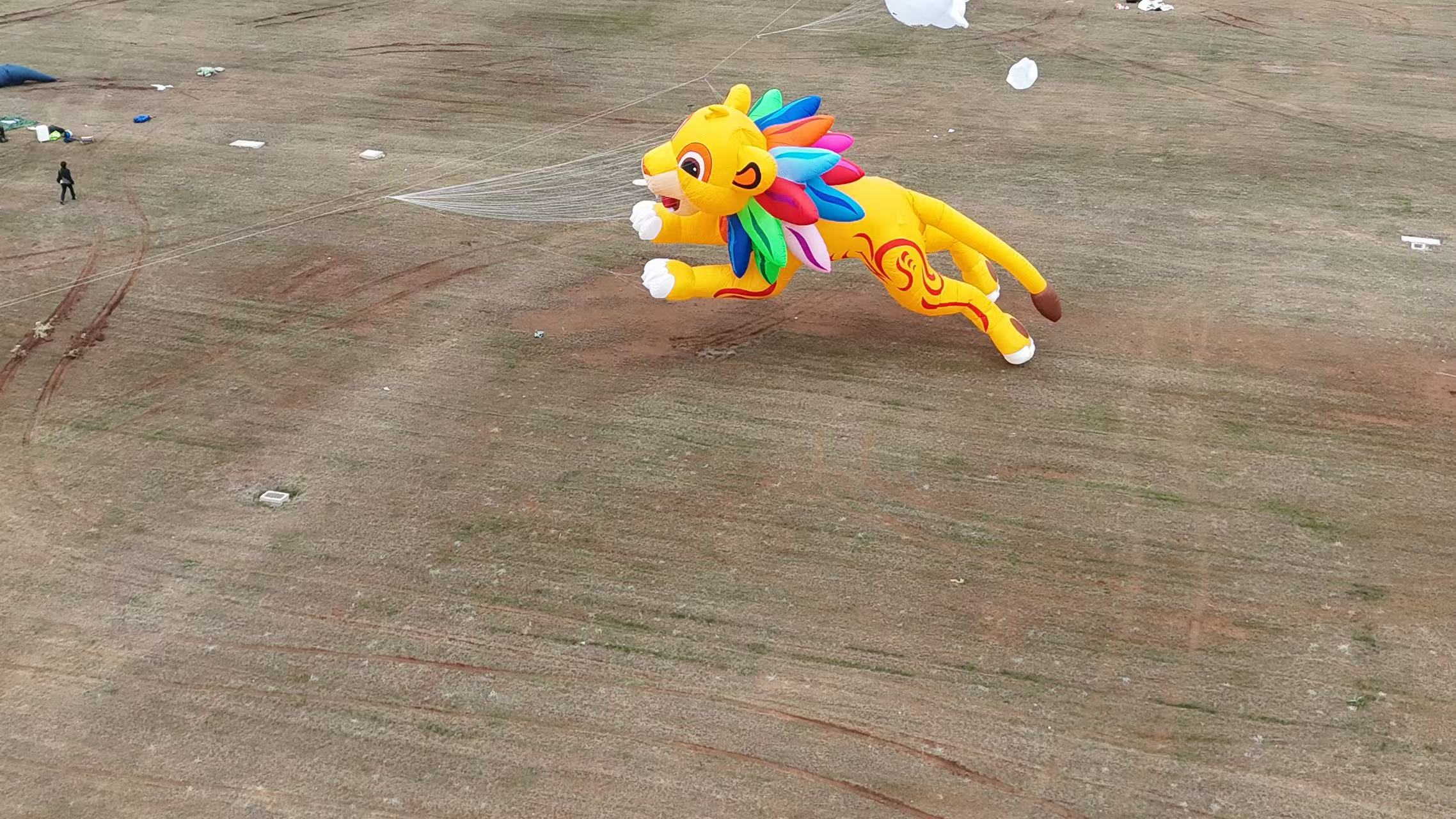 石家庄市品牌风筝定制儿童风筝定制 - 厂家