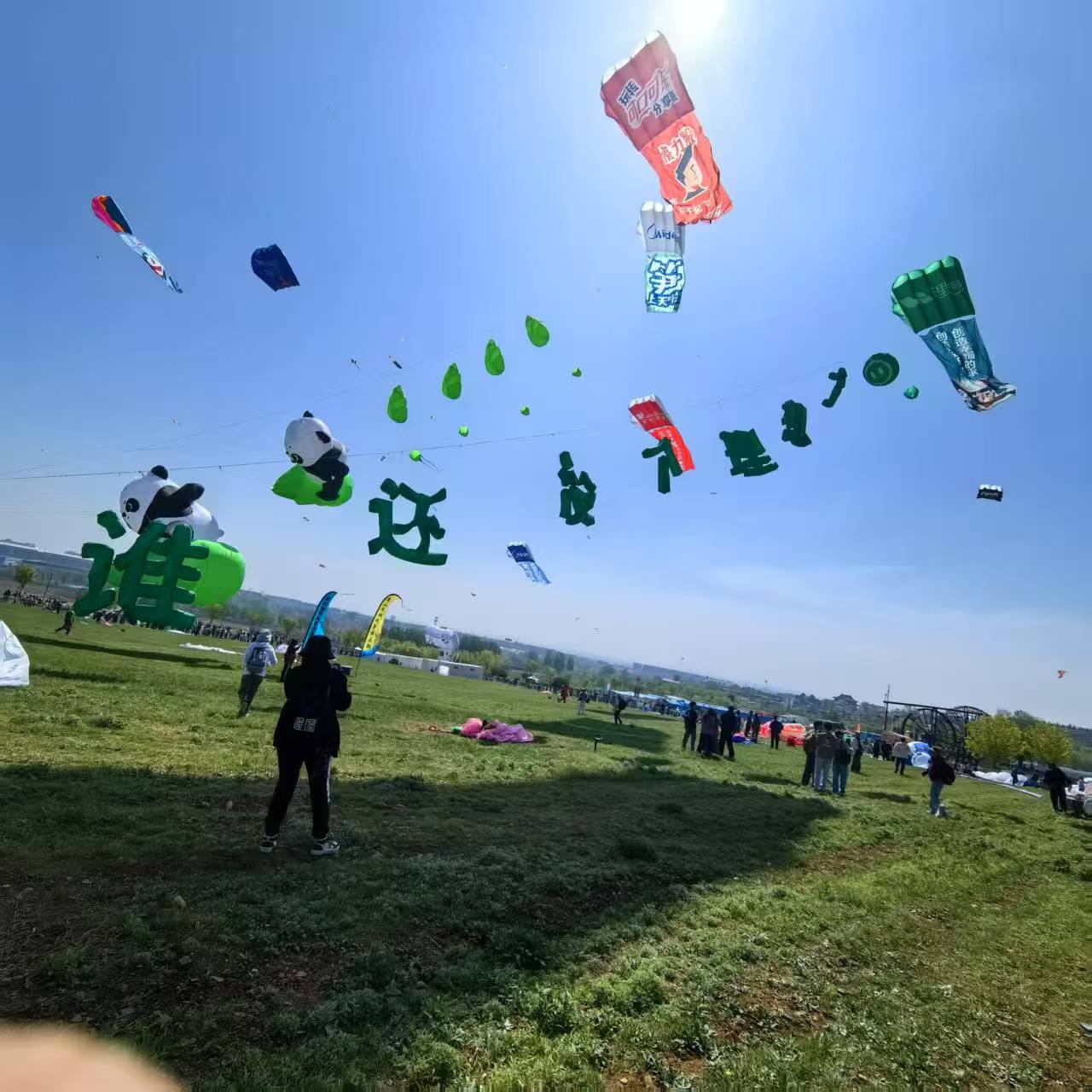 石家庄市风筝批发风筝定制 - 排名